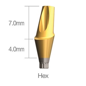 Angled Abutment 15